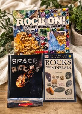 Kids Rocks Minerals & Space Book Lot Age 7-12 Scholastic DK STEM Science 3 Books